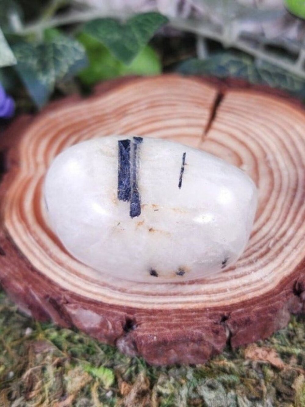 Black Tourmaline in Quartz Palm, Worry Stone #15